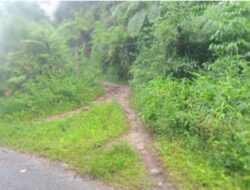 Jalan Penghubung Pekon Bumi Agung – Serungkuk Akses Vital yang Terabaikan