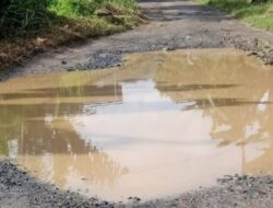 Warga Harap Dinas Terkait Segera Turun Tangan memperbaiki jalan Pekon Way petai yang terabaikan