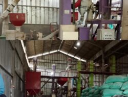 Diduga Ada Kejanggalan, Penggilingan Padi di Marga Jasa Tetap Beroperasi Diam-diam