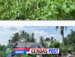 *Jelang Hari Bhayangkara Ke 79, Polsek Jajaran Polres Way Kanan Gelar Lomba Pekarangan Pangan Bergizi (P2B)*
