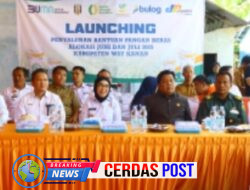 Way Kanan Luncurkan 901 Ton Bantuan Beras untuk 45.051 Warga: Jamin Ketahanan Pangan dan Lindungi Keluarga Rentan