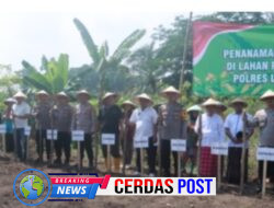 Polres Lampung Selatan Tanam Jagung Serentak di Ponpes Rodhotul Muta’allimin, Dorong Ketahanan Pangan Berbasis Komunitas