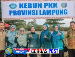 TP. PKK Provinsi Lampung Dorong Pemanfaatan Pekarangan Rumah untuk Ketahanan Pangan Keluarga