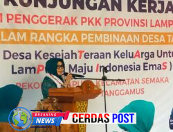 Ketua TP PKK Provinsi Lampung Kunjungi Pekon Kacapura, Serahkan Bantuan untuk Warga