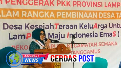 Ketua TP PKK Provinsi Lampung Kunjungi Pekon Kacapura, Serahkan Bantuan untuk Warga