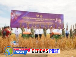Panen Kedelai di Lampung Utara Jadi Simbol Kolaborasi Pemerintah dan TNI Wujudkan Kedaulatan Pangan Nasional