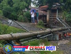 Hujan deras disertai angin kencang menyebabkan sejumlah pohon besar dan satu tiang gardu listrik roboh di Dusun 10 Jaya Laksana Kampung  Bonglai ,Kecamatan Banjit