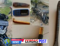 *Polisi Amankan Seorang Pria Asal Kotabumi Way Kanan Usai Tepergok Curi Motor di Negeri Besar*