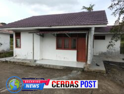 Pura pura untuk Pembenihan”Di Duga Sembilan Ton Padi Milik BBI Kecamatan Palas Terkesan Banyak Sandiwara