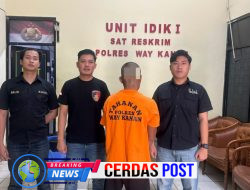 *Polisi Amankan Diduga Tersangka Penganiayaan Yang Akibatkan Korban Luka Berat di Karang Umpu*